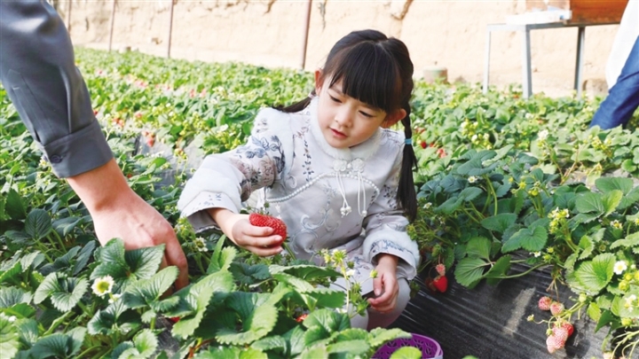 63c54a5b-528f-46aa-9c75-24e730794bd7 (1).jpg